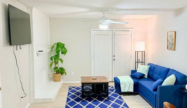 Cozy 1-bedroom apartment near tollway and hospital