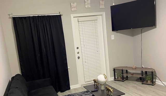Cozy 1 Bedroom Apartment In Downtown Houston!