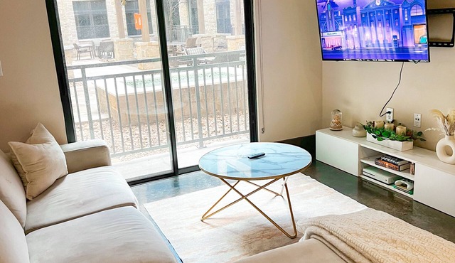 Cozy 1-bedroom apartment in lovely Galleria Area in Houston TX