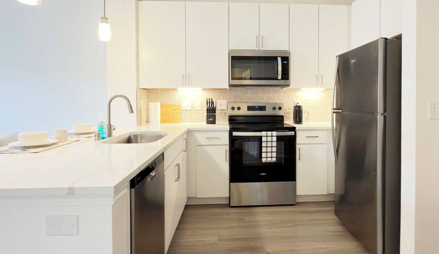 Cozy 1-bedroom apartment in lovely Houston
