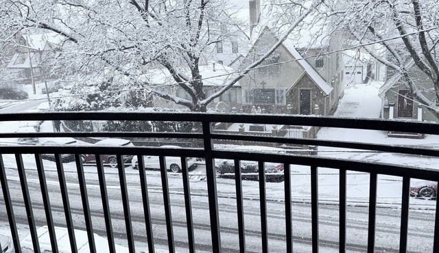 Cozy 1-bedroom apartment in pleasant Queens with AC and gym,30 min to manhattan