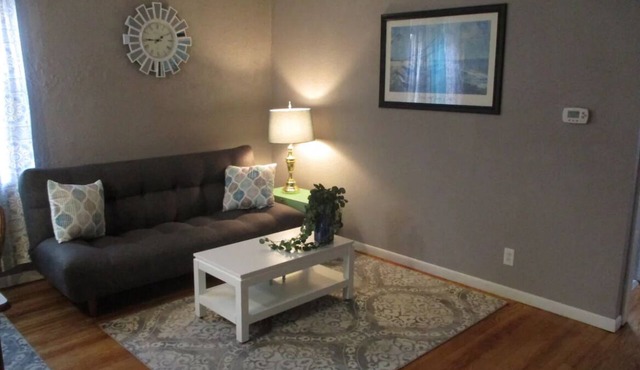 Cozy 1-bedroom apartment on square in Newton