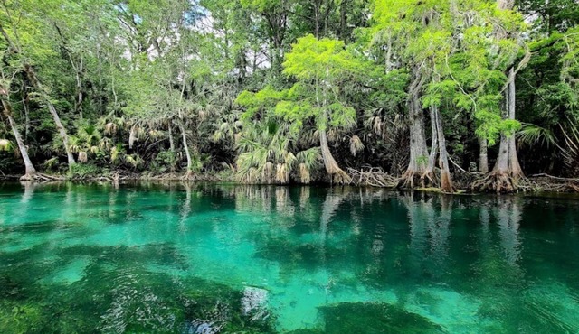 Cozy 1-bedroom apartment in fantastic Ocala with AC