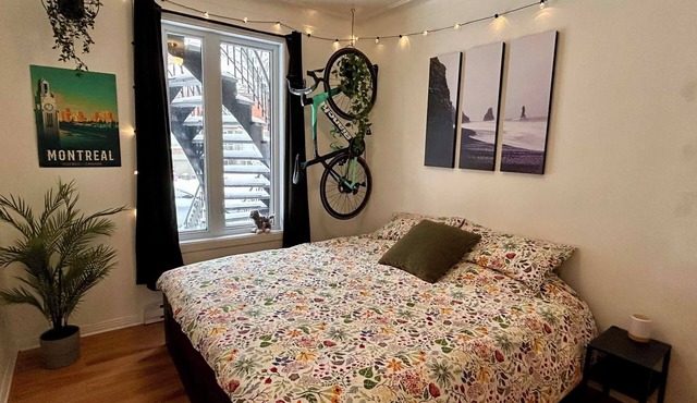 Cozy 1 Bedroom Appartement