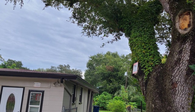 Cozy 1-bedroom barn in beautiful Tampa with AC