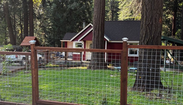 Cozy 1-bedroom cabin in soothing Pollock Pines with AC