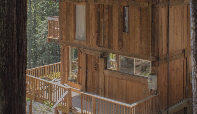 Cozy 1-bedroom cabin nestled in the Redwoods by the coast in Little River, CA