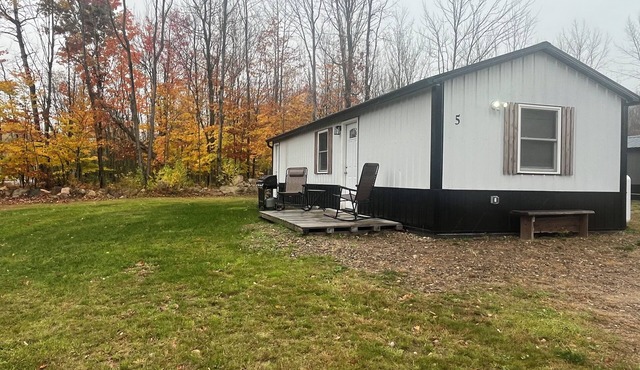 Cozy 1-bedroom cabin in charming Brushton NY