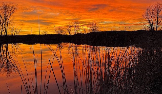 Cozy 1-bedroom cabin in lovely Caldwell! What a private lake? We have that!