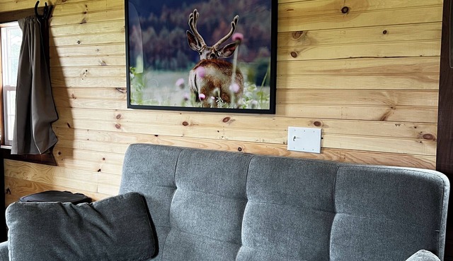 Cozy 1-bedroom cabin in charming Lamar MO with AC