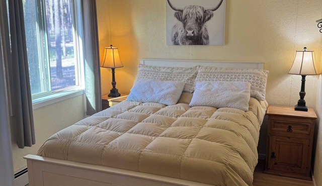 Cozy 1-bedroom cabin on Casper Mountain set upon 6 acres of peaceful forest.