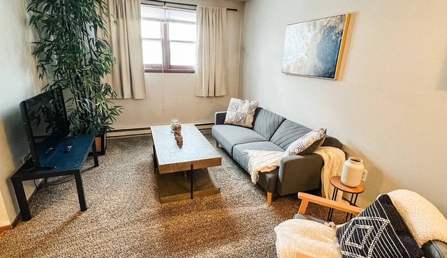 Cozy 1-Bedroom Close to NDSU and Downtown (APT 2)