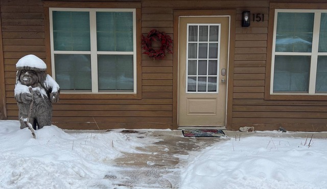 Cozy 1-bedroom cottage in wonderful Mineral Point with AC