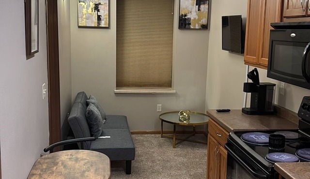 Cozy 1-bedroom condo with AC, WiFi in delightful Stevens Point Noise Potential