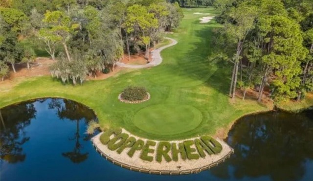 Cozy 1-bedroom condo in the heart of Innisbrook prestigious Golf Course’s