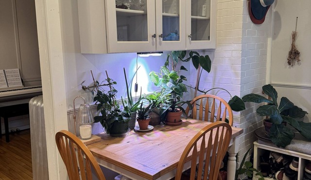 Cozy 1-Bedroom Condo with AC in Lovely Portland, Walkable Neighborhood