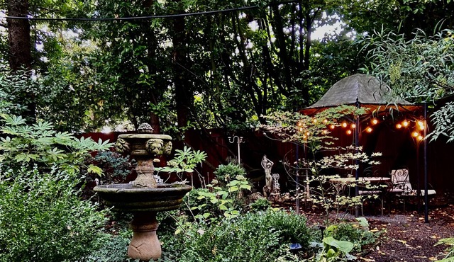 Cozy 1-bedroom daylight basement apartment surrounded by gardens