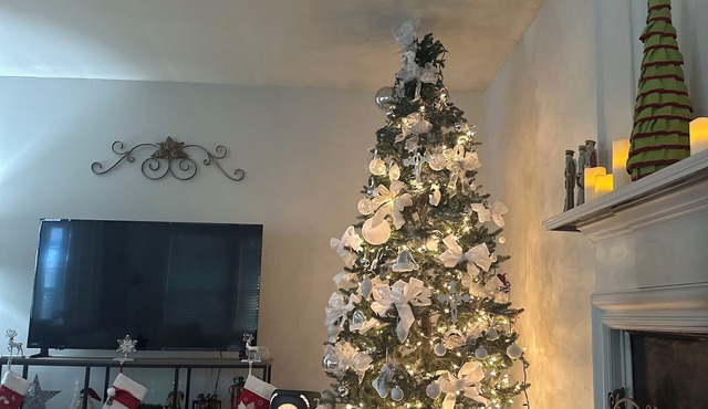 Cozy 1-bedroom for rent, 4 bedrooms house in soothing Suwanee with AC and heat