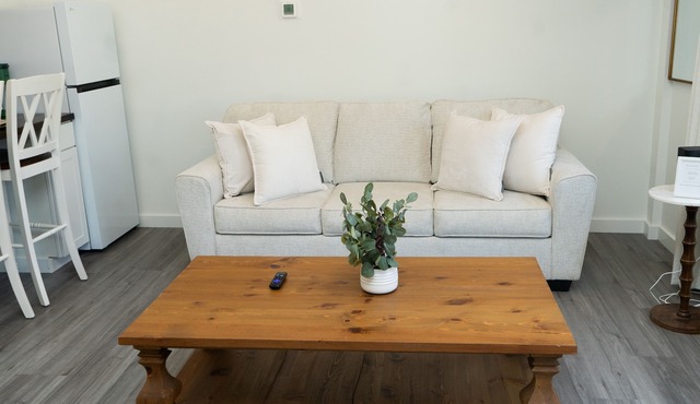 Cozy 1-bedroom modern barn in wonderful Carrollton near UWG and South Wire