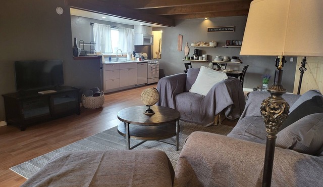 Cozy 1-bedroom pet friendly condo sleeps 6 with private balcony, Wi-Fi, laundry