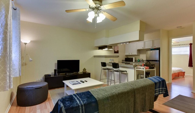 Cozy 1 BR 1 BA South Lamar District