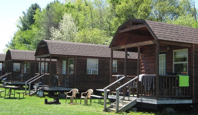 Cozy 1-BR cabin with additional sleeping loft. Less than 5 mi from Cooperstown