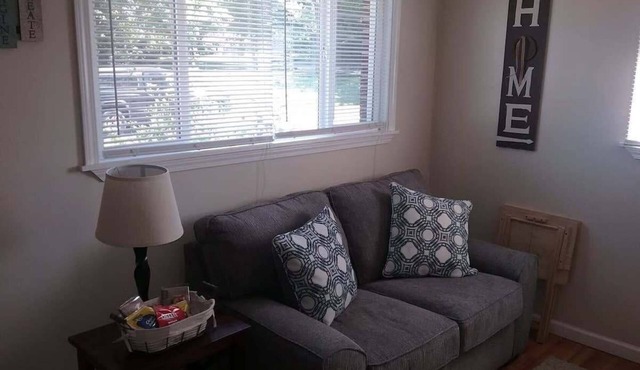 Cozy 1 BR efficiency apt close to TTU and downtown