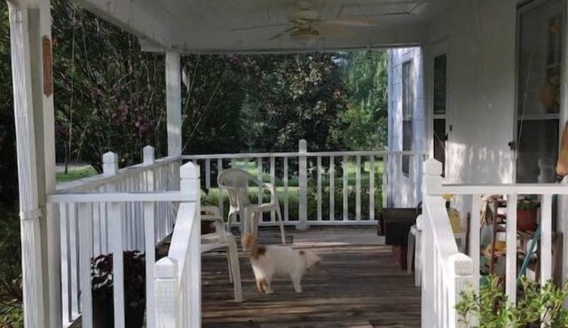 Cozy 1890s Farm Cottage, fully modernized.