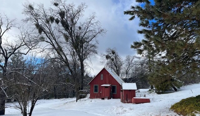 Cozy 1940's Cabin 12 minutes from Kings Canyon National Park with EV Charging