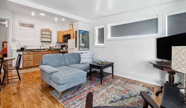 Cozy 1BDR APT in Vibrant Downtown Geneva