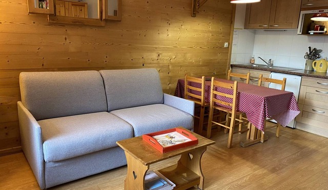 Cozy 1BR Apartment for 4, Near Slopes and Shops - L'Alpe d'Huez