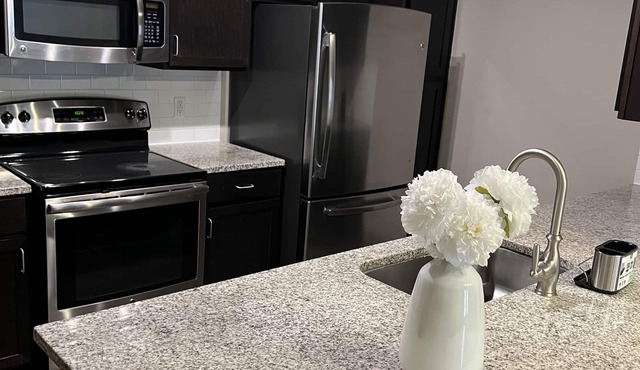 Cozy 1br apartment in Energy Corridor