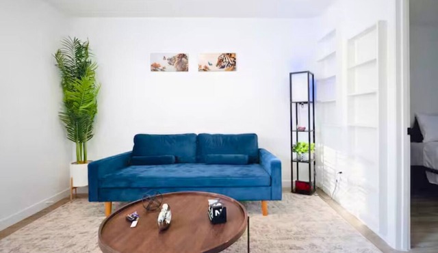 Cozy 1BR Apartment in Phenomenal Austin - Minutes to DT