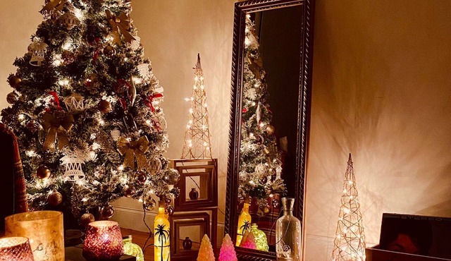 Cozy 1BR APT in the heart of Astoria