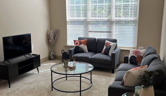 Cozy 1BR Entire Apartment, Fast WiFi, Near Midtown & Buckhead