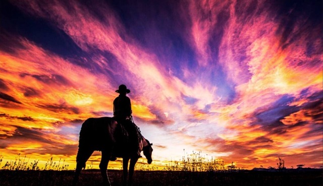 Cozy 1BRSuite w/KingBed + 2x sofa beds in Cochrane,Alberta