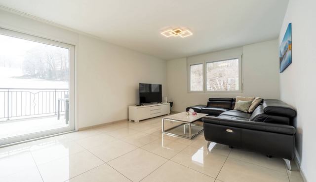 Cozy 2-bedroom apartment in charming Safenwil with WiFi