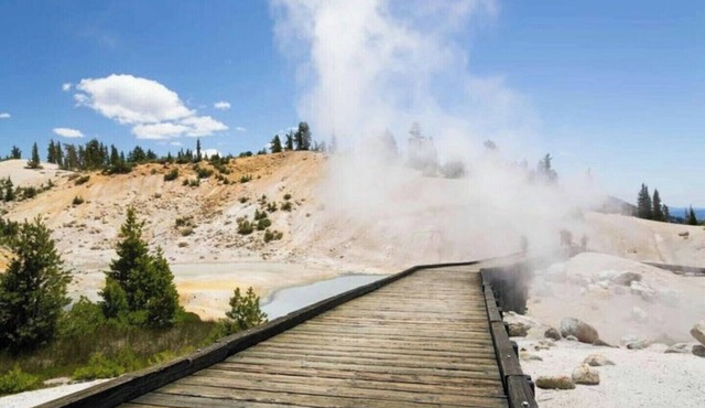 Cozy 2-bedroom cabin in enchanting Paynes Creek