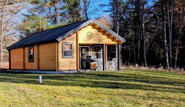 Cozy 2 Bedroom Cabin in Serene Bellaire/Alden with LakeViews-Bumbleebee Bungalow