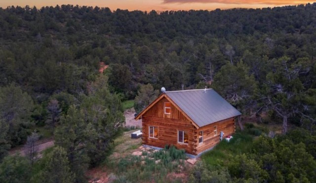 Cozy 2-bedroom cabin in a lovely slice of heaven in Hesperus off Cherry Creek Rd