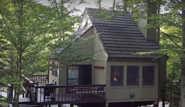 Cozy 2-bedroom cabin in the heart of Canaan Valley, with WiFi, AC, trails & pool