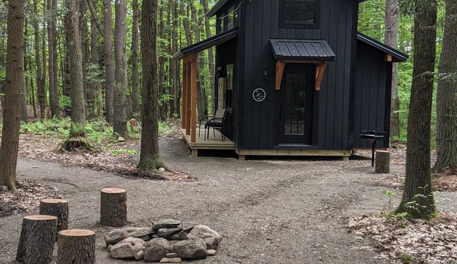 Cozy 2-bedroom cabin in Dansville with all the modern convenience’s