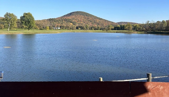 Cozy 2 bedroom cabin on a 20 acre lake