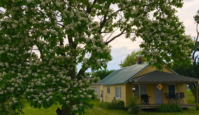 Cozy 2 bedroom cabin in country setting near Saginaw Bay & Fish Point.
