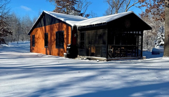 Cozy 2 bedroom cabin with fireplace, lake views, steps to sand bottom swimming