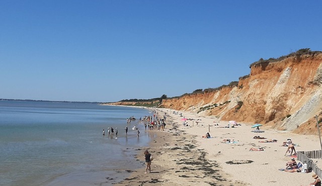 Cozy 2-Bedroom Chalet with Pool, Near Morbihan Gulf and Beaches