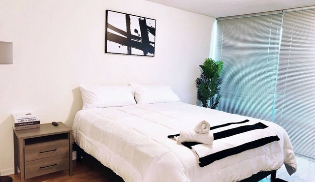 Cozy 2-bedroom condo in Skokie