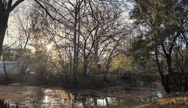 Cozy 2-bedroom cottage in beautiful Bushnell with AC