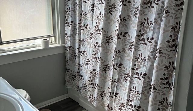 Cozy 2-bedroom house in lovely Mount Oliver with AC. Extremely close to downtown