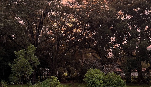 Cozy 2-bedroom house in charming Yulee with Pool and AC comfort